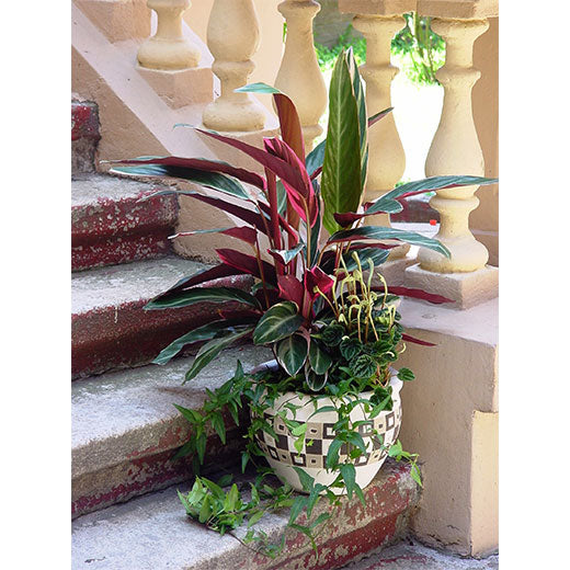 Oplemenjivanje prostora