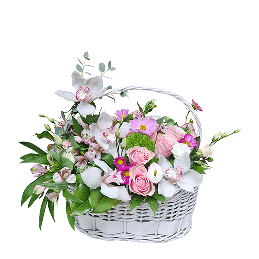 Poklon za rodjendan !