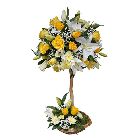 Poklon za sve prilike!