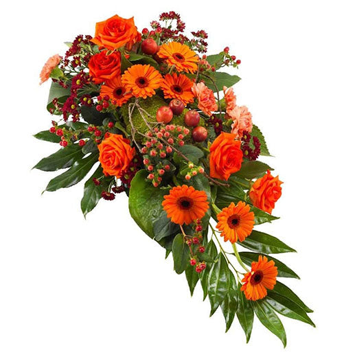 Poslednji pozdrav Kina