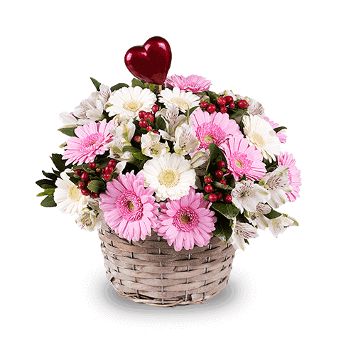 Rođendan drage prijateljice - Rumunija