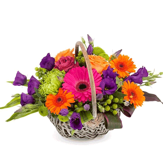 Rođendanska korpa - Južna Afrika