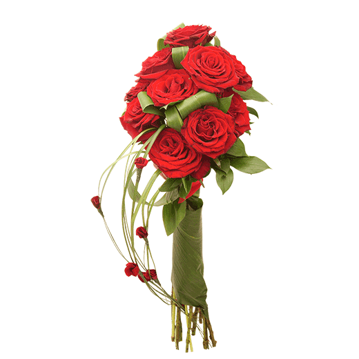 Ruže su crvene, tajne su skrivene