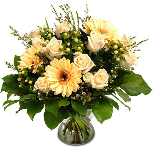 Slatka romansa - Severna Makedonija