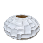 Spatifilum, ženska sreća