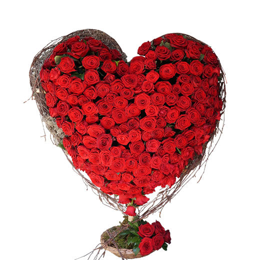 Srce moje - 171 ruža