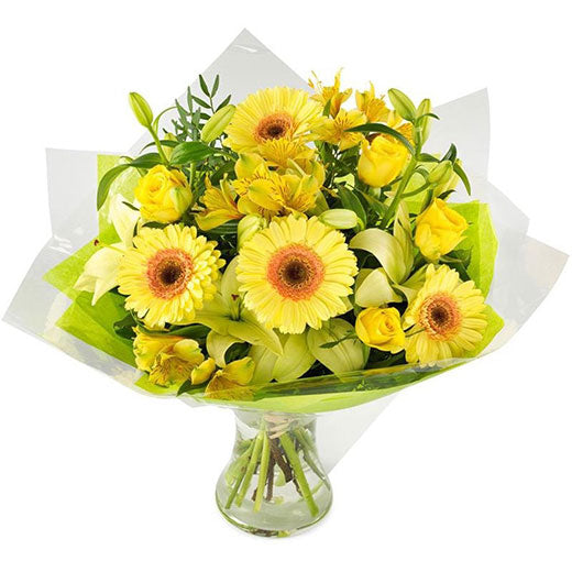 Sunčevi zraci- Crna Gora