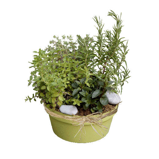 U harmoniji sa prirodom