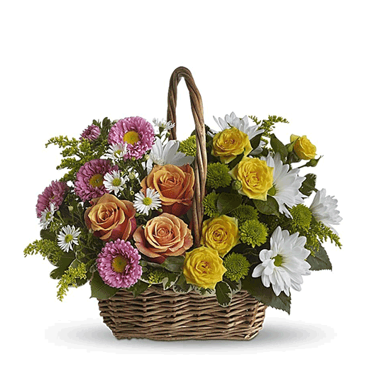 Vesela korpra- Bugarska