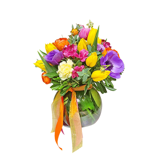 Za Mamu ili za Baku !?