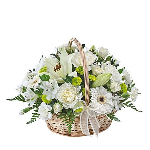 Za najlepši dan - Kina