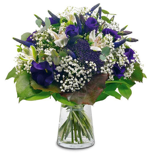 Za njega !