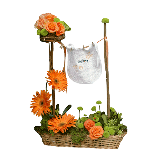 Za novog stanovnika naše planete