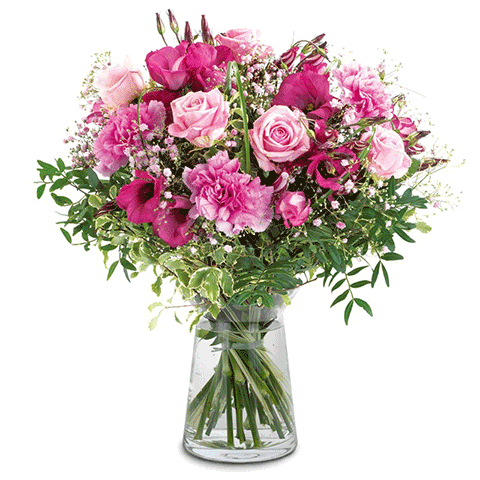 Za podizanje raspoloženja - Novi Zeland