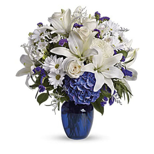 Za rođenje sina USA