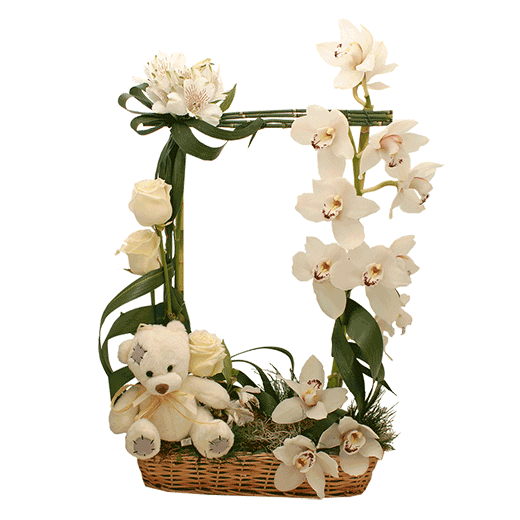 Za vašeg malog princa