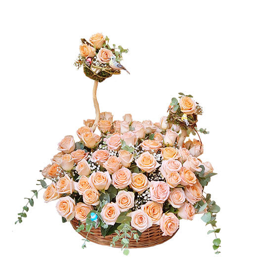 Zadivljujuća 101 ruža