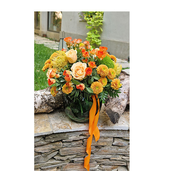 Zagrljaj Toplih Tonova