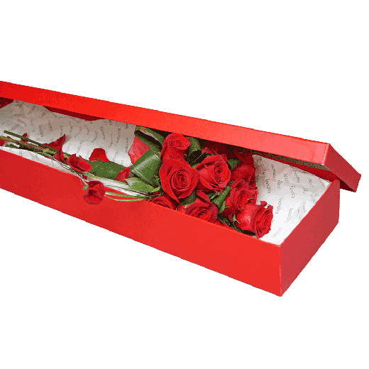 Čarobna crvena kutija