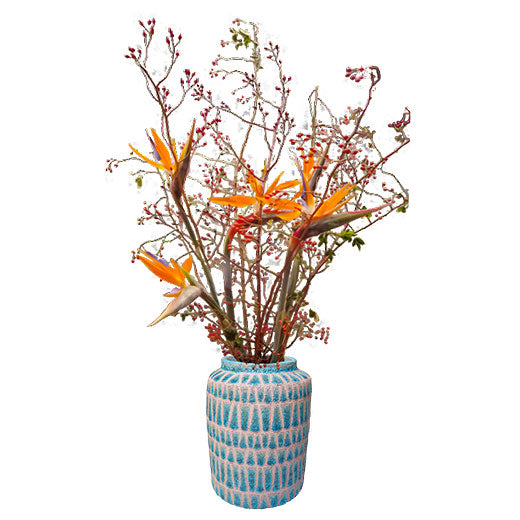 Divlji, elegantan, nezaboravan poklon