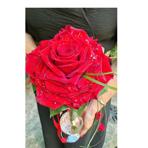 L'histoire d'une Rose,