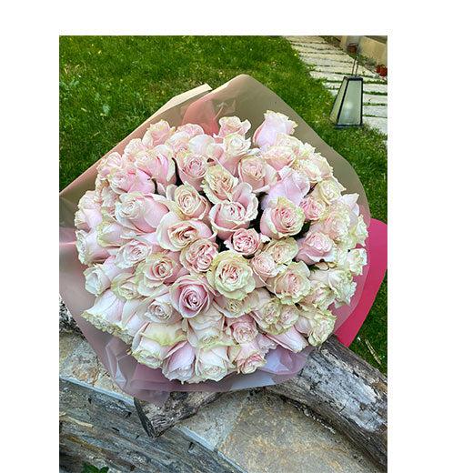 101 Ruža - Šapat Ljubavi