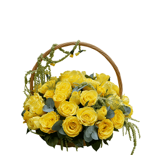 Žute ruže u korpi