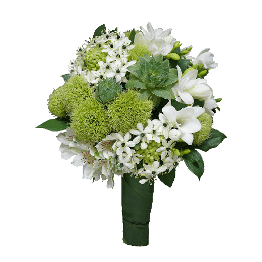 Čuvar vaše ljubavi