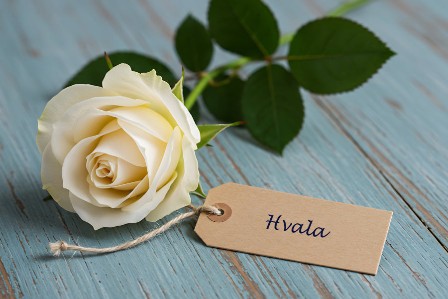 Hvala