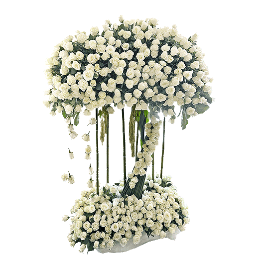 1001 white roses??? – Teleflora