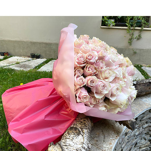     101 Ruža - Šapat Ljubavi 