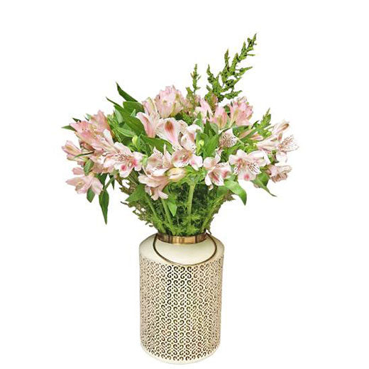 Alstromerije u Lanterni