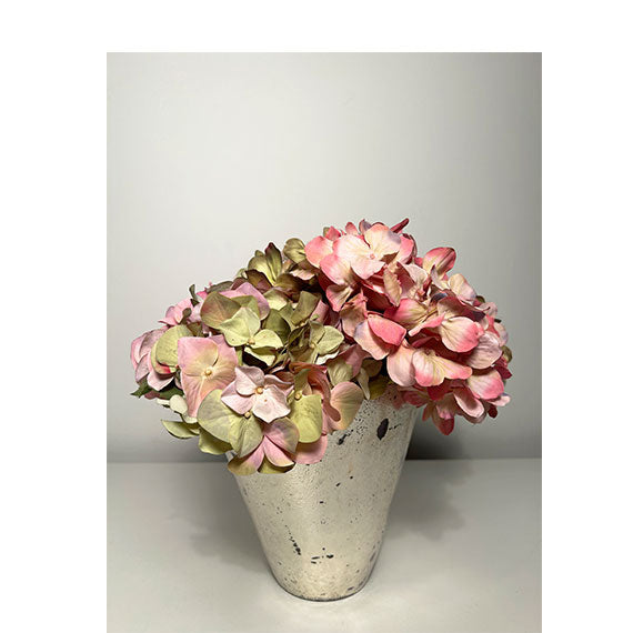     Bezvremenski izraz Lepote 