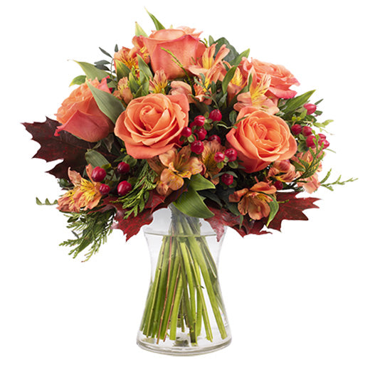 An energy bouquet - Angola