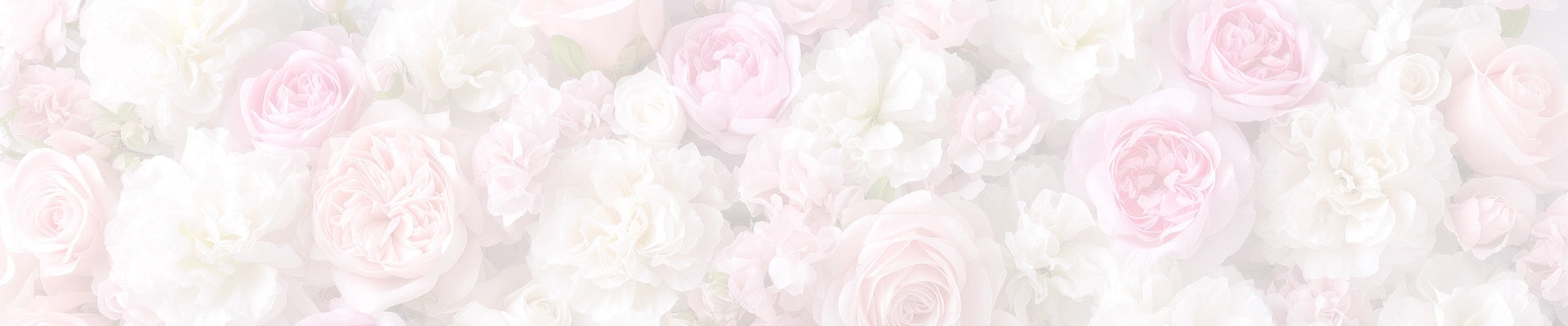 Pozadina za recenzije