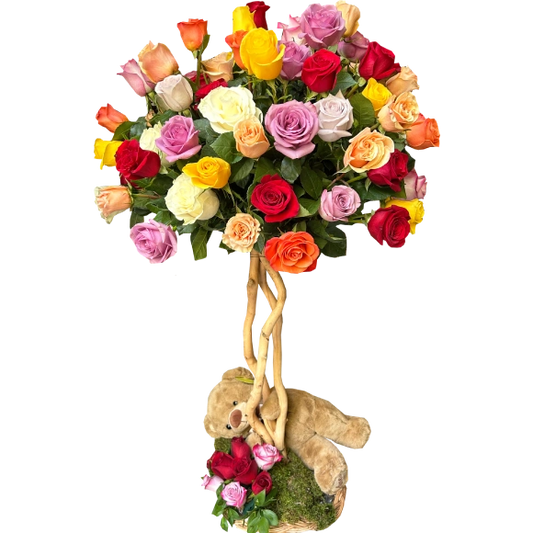     Prestige Drvo 101 Ruža 