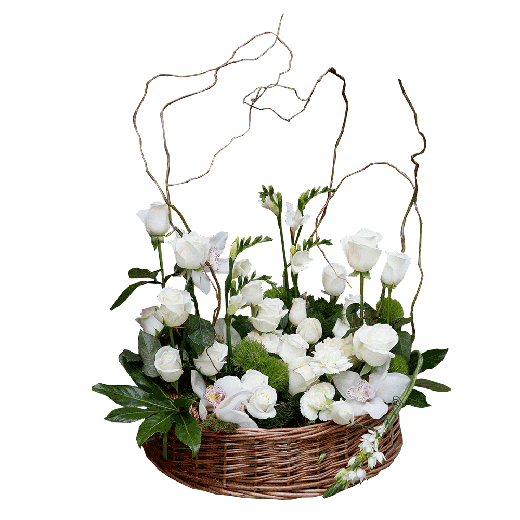 S poštovanjem za dragu osobu