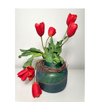     Savršena Dekoracija 