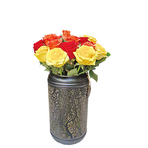 Les émotions des Roses