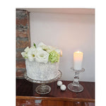 Nežna posveta svima