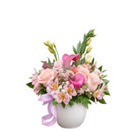 Gentle Gift