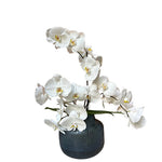 Zen Ikebana
