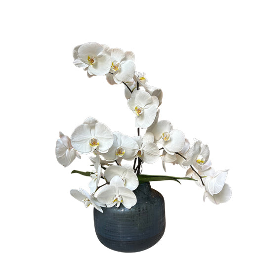 Zen Ikebana