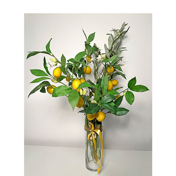 Čari Sunčanog Dana
