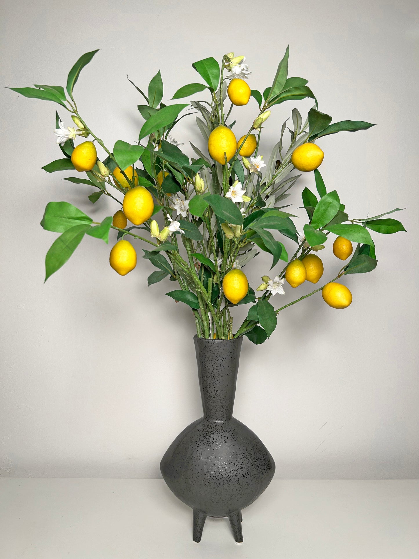     Čari Sunčanog Dana 