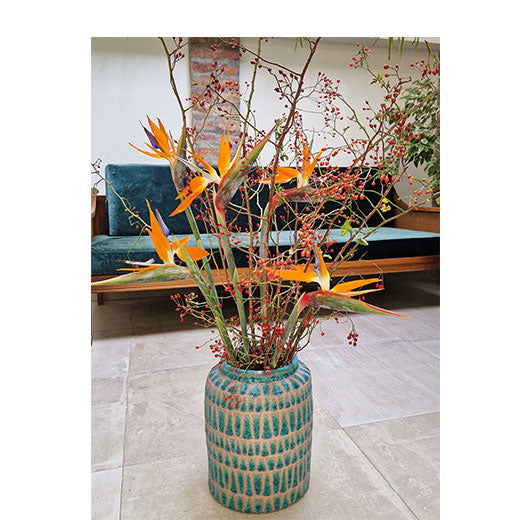 Divlji, elegantan, nezaboravan poklon