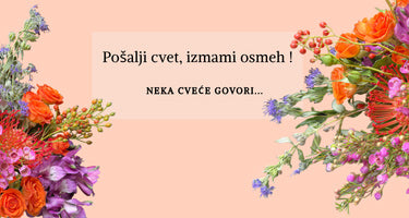 jesen baner