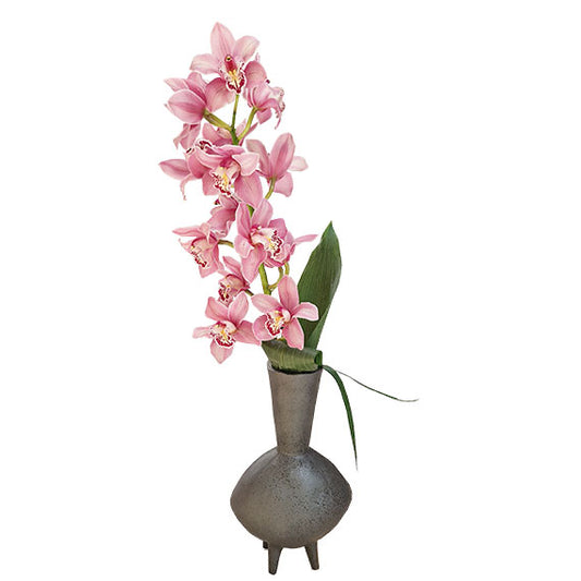 Orhideje, Orhideje...