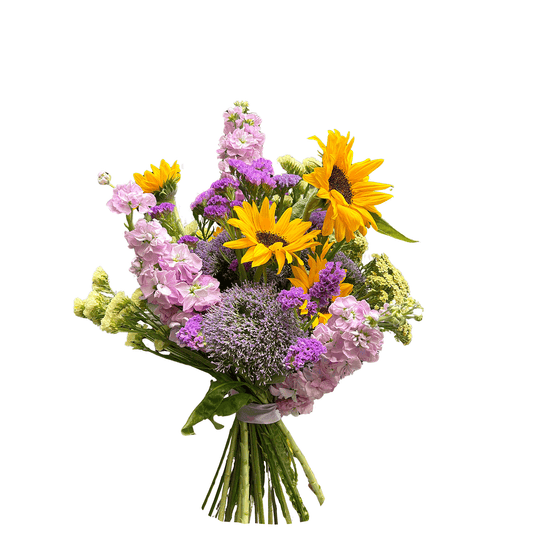 Sunčana Rapsodija